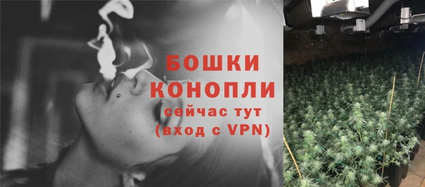 первитин Бикин