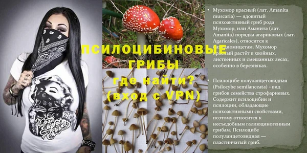 дмт Беслан