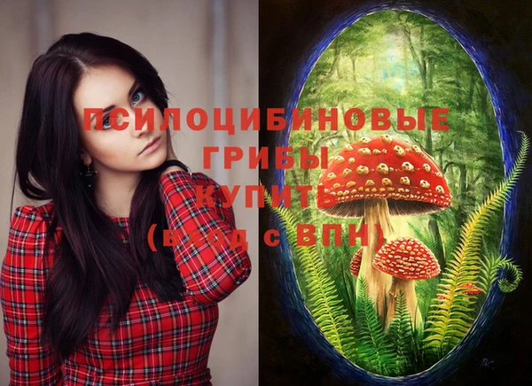 дмт Беслан