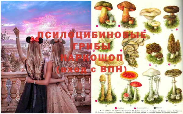 амфетамин Билибино