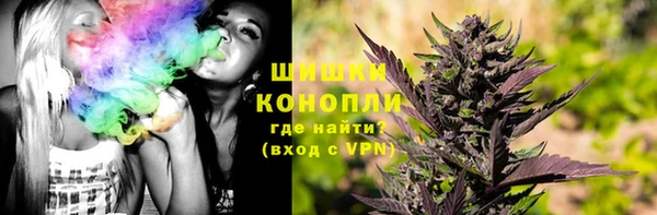 первитин Бикин